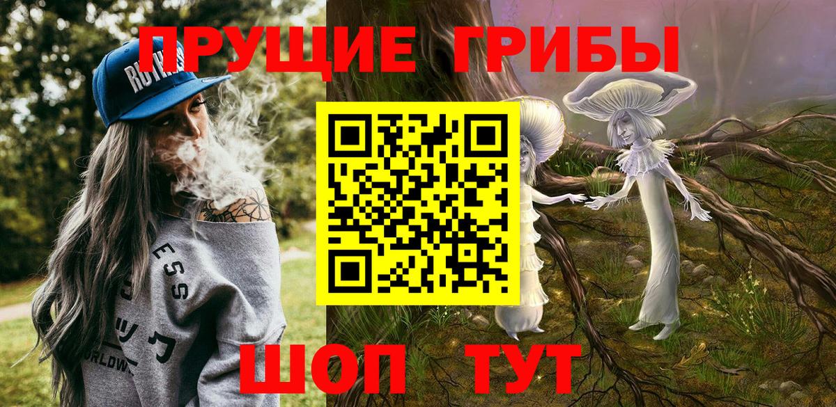 Псилоцибиновые грибы Cubensis  Вход с VPN  Ачинск 
